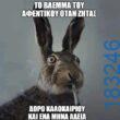 100054039829152_988276629650322-asteia-eikona-oxarosss