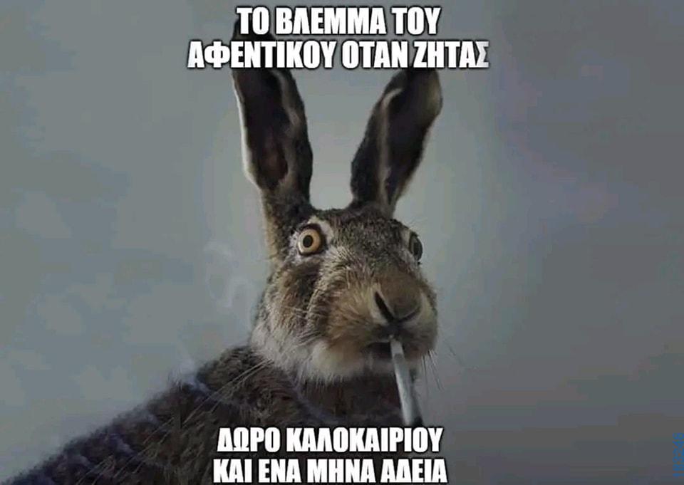 100054039829152_988276629650322-asteia-eikona-oxarosss
