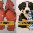 100054039829152_990203202790998-asteia-eikona-oxarosss