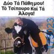 100064617523192_870569511773625-Αστεία εικόνα-treladikovivalatrelaaa2