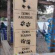 100083112073582_472613002185765_vouna_asteia_eikona