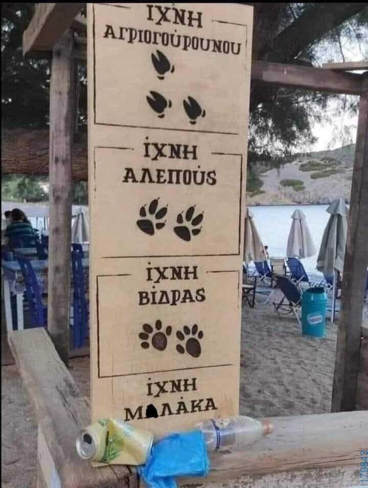 100083112073582_472613002185765_vouna_asteia_eikona