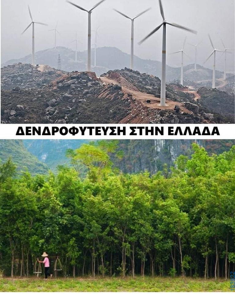 100054039829152_993393049138680-asteia-eikona-oxarosss