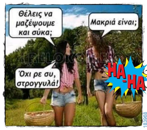 100083112073582_483449011102164_vouna_asteia_eikona
