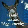 100083112073582_486411654139233_vouna_asteia_eikona