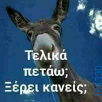 100083112073582_486411654139233_vouna_asteia_eikona
