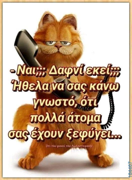 100083112073582_488437573936641_vouna_asteia_eikona