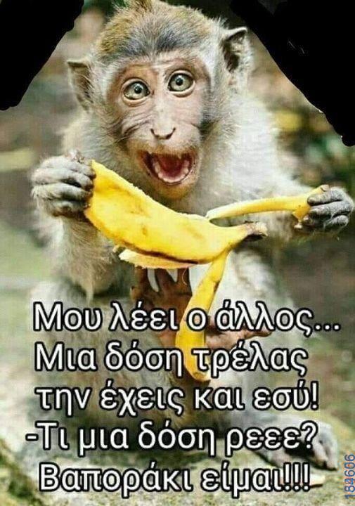 100083112073582_490685933711805_vouna_asteia_eikona