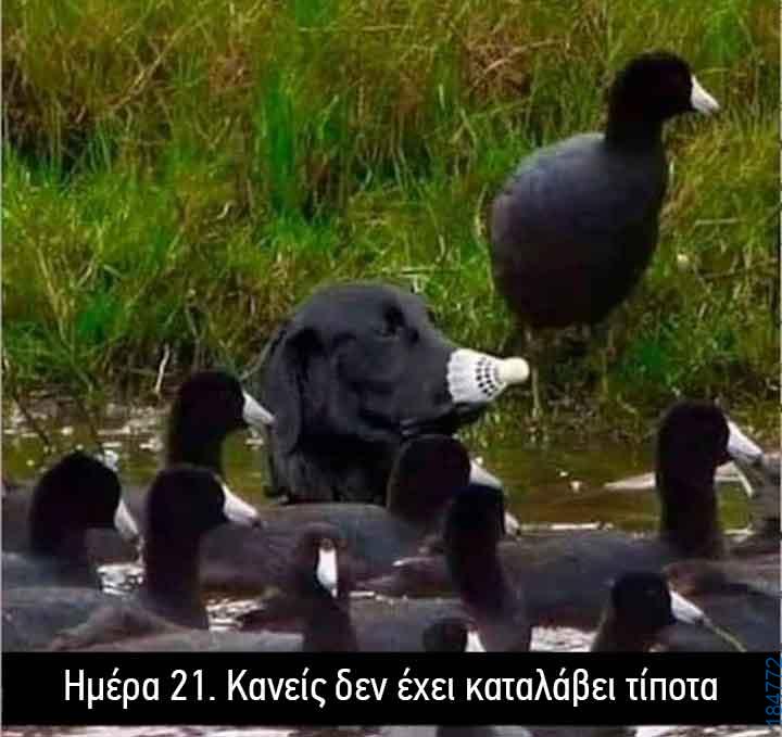 Αστεία εικόνα