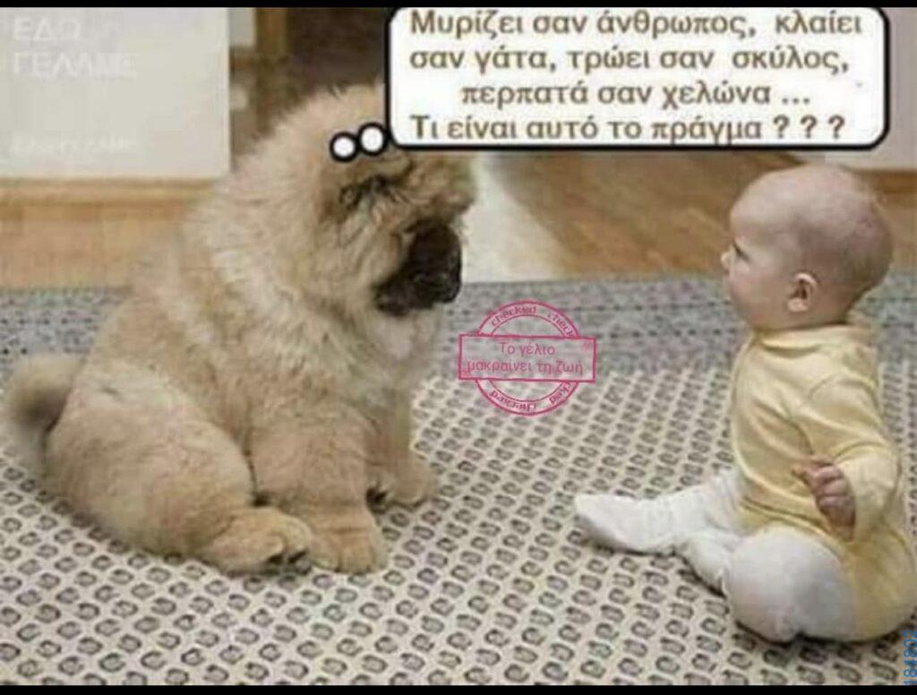 Αστεία εικόνα