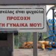 Αστεία εικόνα