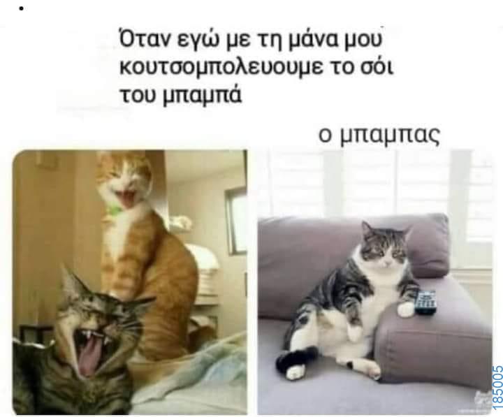 Αστεία εικόνα