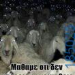 Αστεία εικόνα