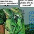 Αστεία εικόνα