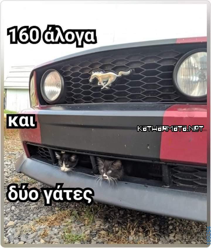 Αστεία εικόνα