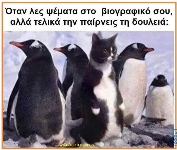 Αστεία εικόνα