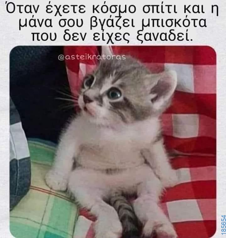 Αστεία εικόνα