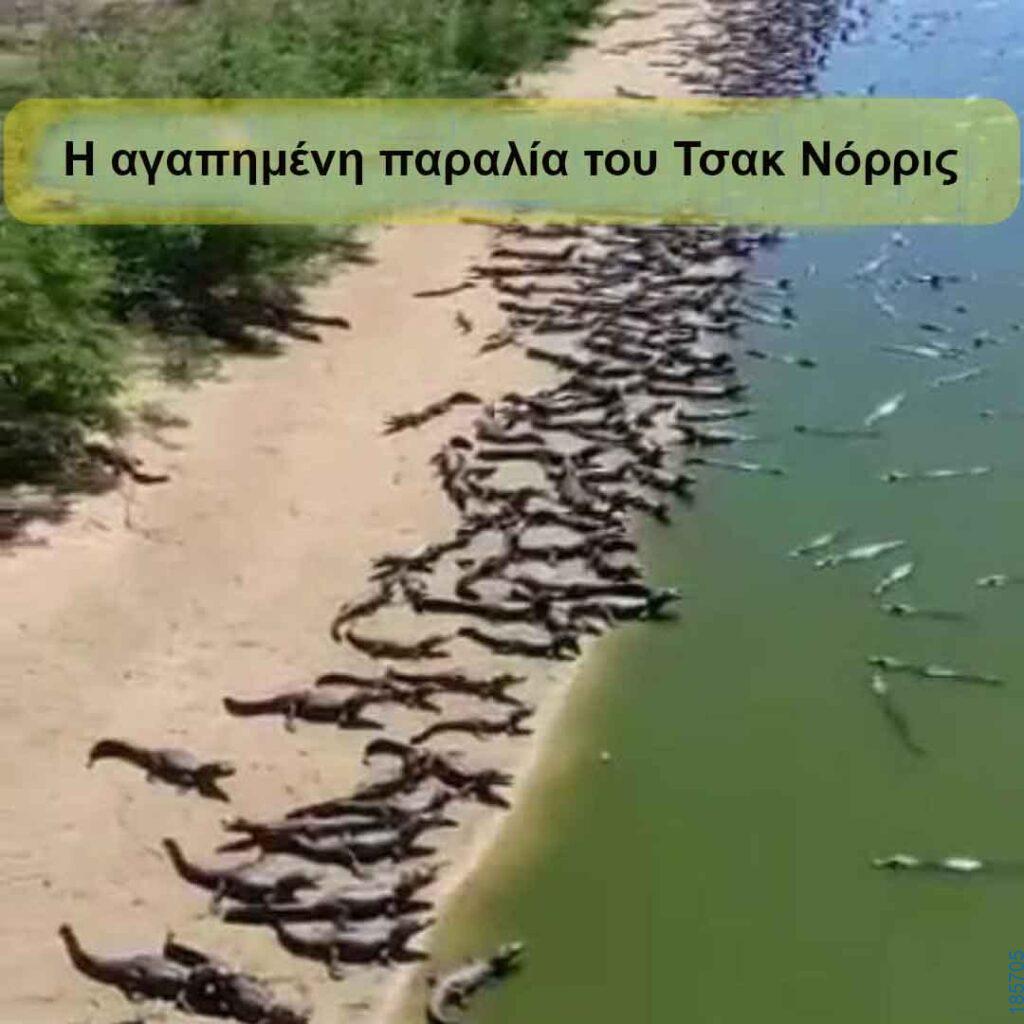 Αστεία εικόνα