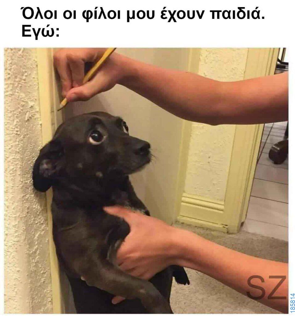 Αστεία εικόνα