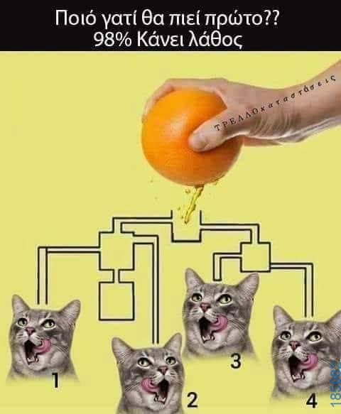 Αστεία εικόνα