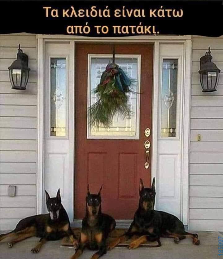 Αστεία εικόνα