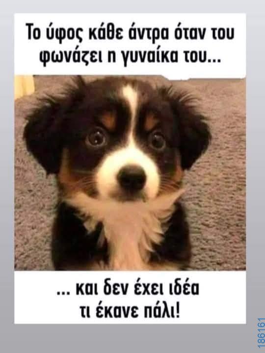 Αστεία εικόνα