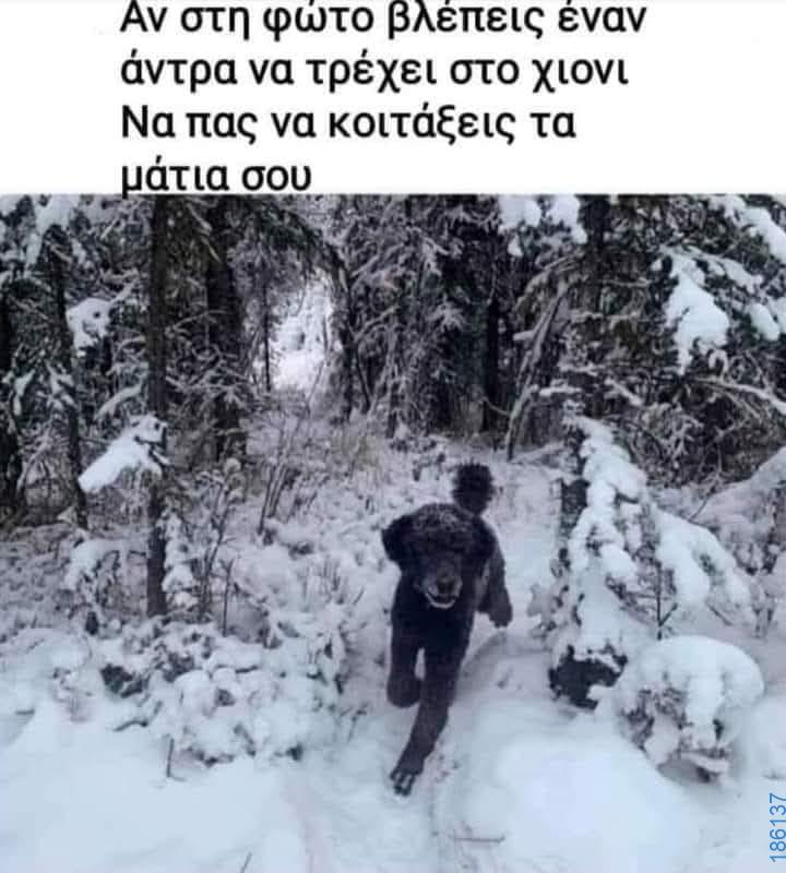 Αστεία εικόνα