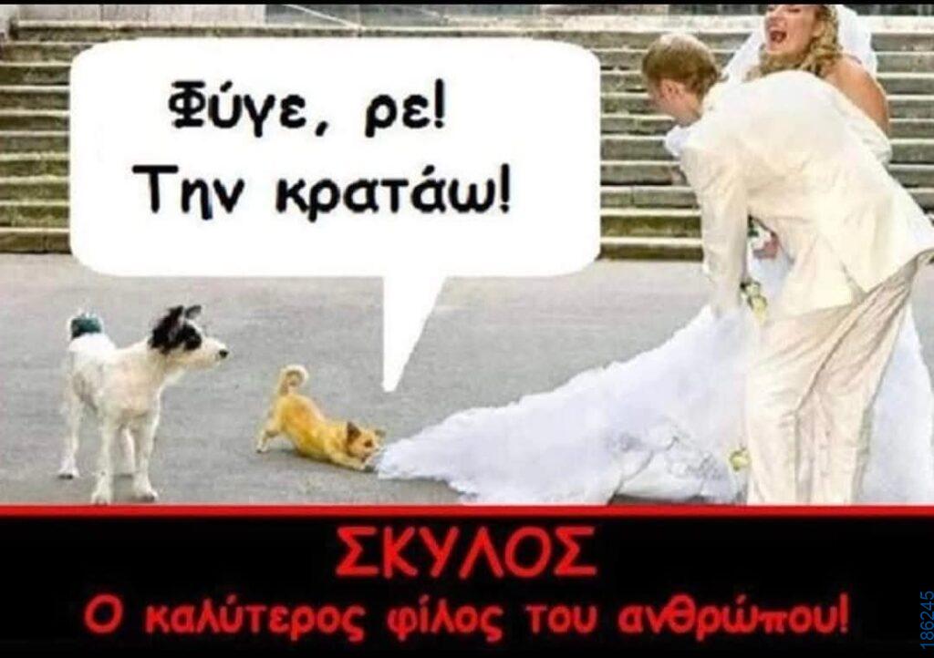 Αστεία εικόνα