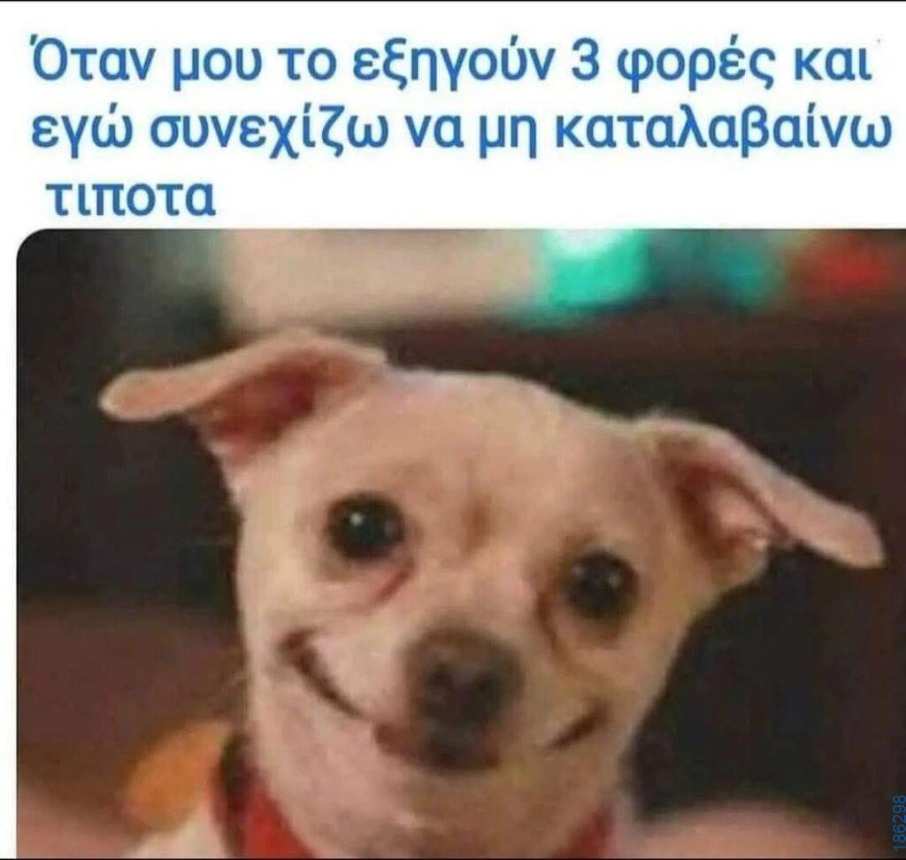 Αστεία εικόνα