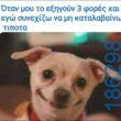 Αστεία εικόνα