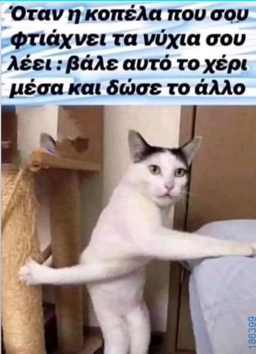 Αστεία εικόνα