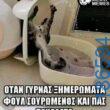 Αστεία εικόνα