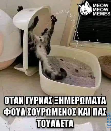 Αστεία εικόνα
