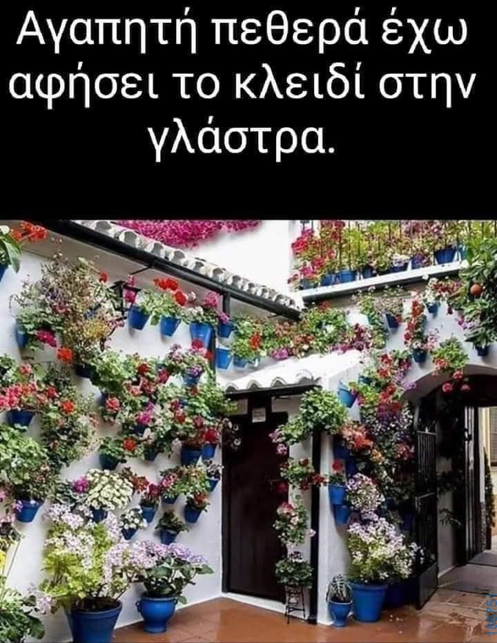 Αστεία εικόνα
