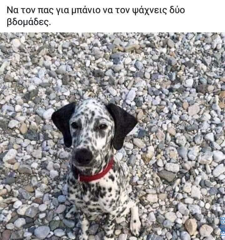 Αστεία εικόνα