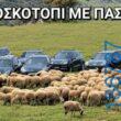Αστεία εικόνα