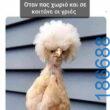 Αστεία εικόνα