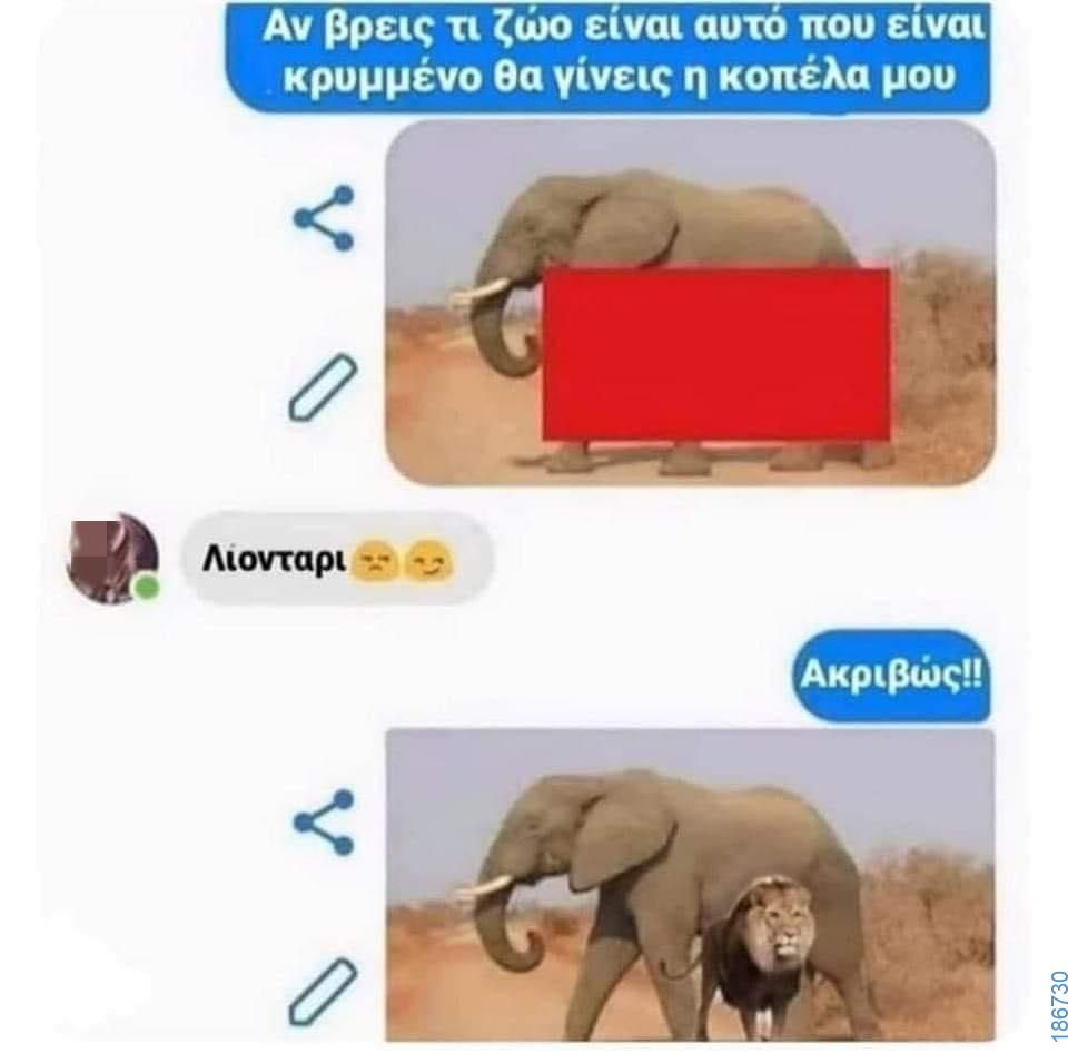 Αστεία εικόνα