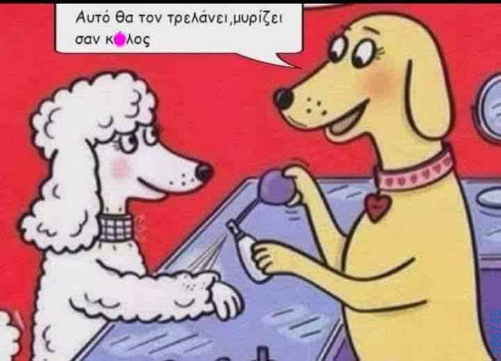 Αστεία εικόνα