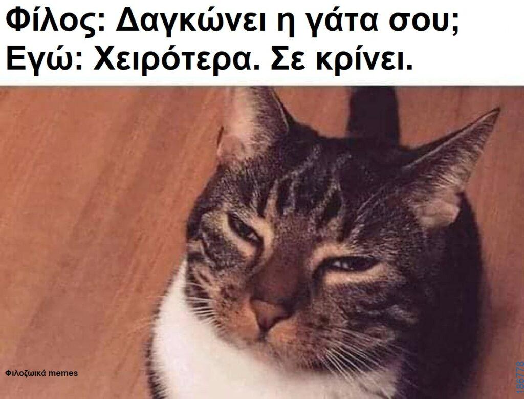 Αστεία εικόνα