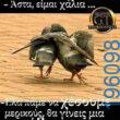 Αστεία εικόνα