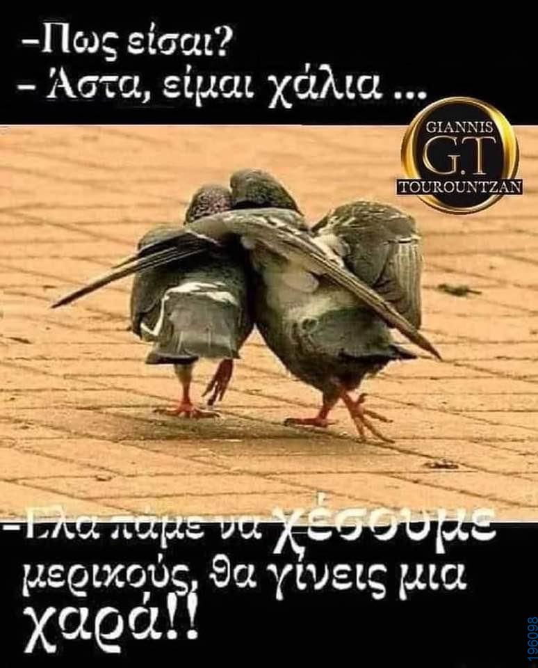 Αστεία εικόνα