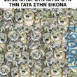 Αστεία εικόνα
