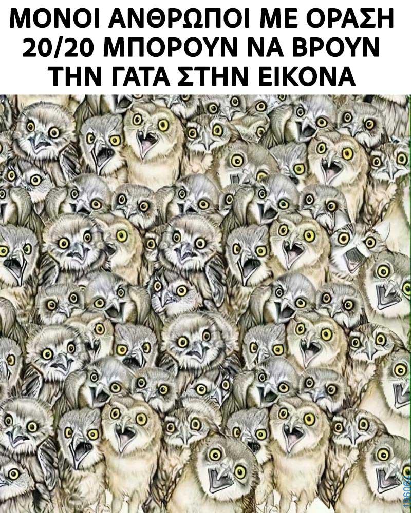 Αστεία εικόνα
