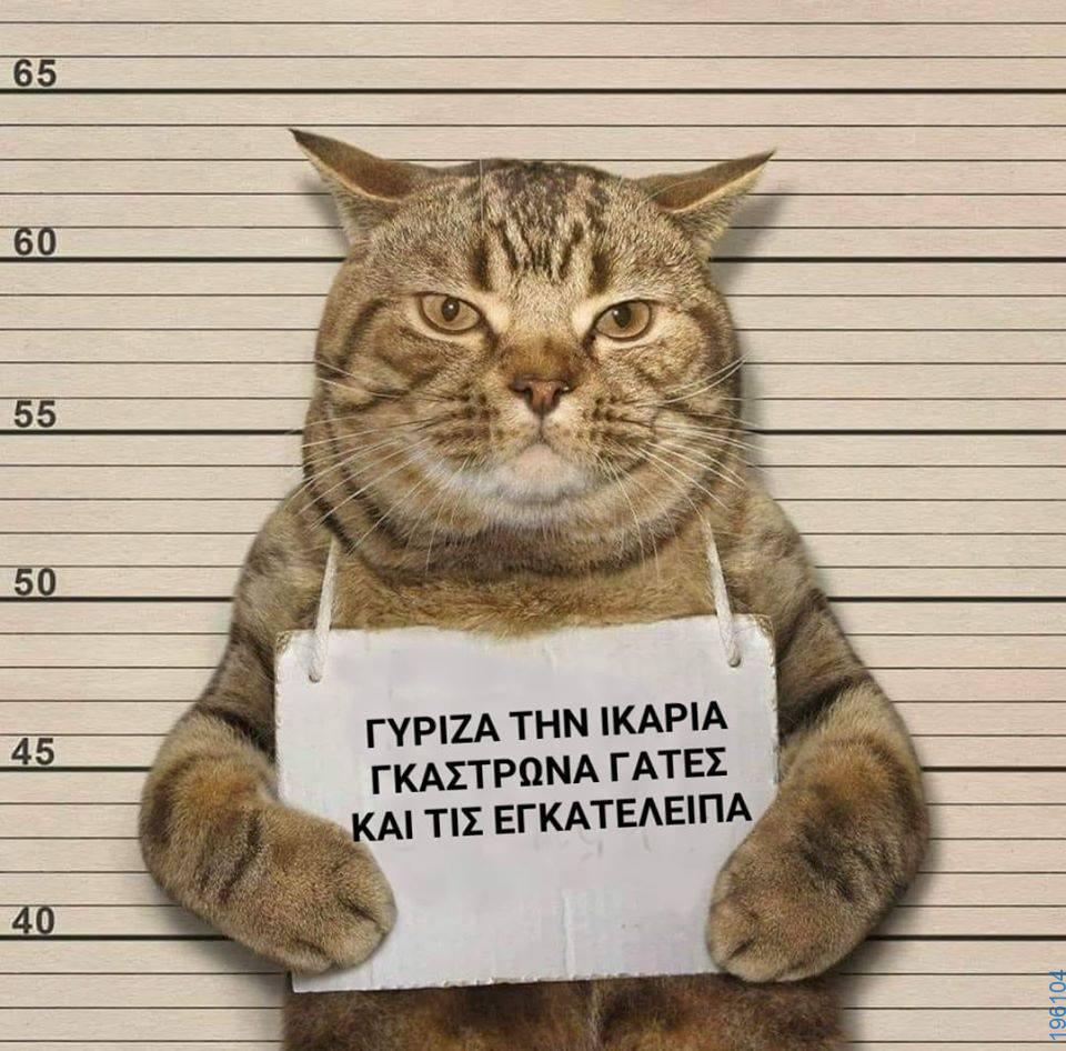 Αστεία εικόνα