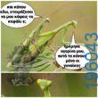 Αστεία εικόνα