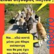Αστεία εικόνα
