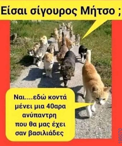 Αστεία εικόνα