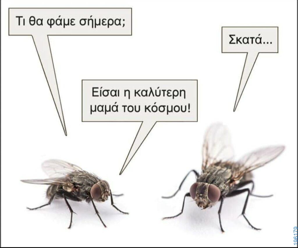 Αστεία εικόνα