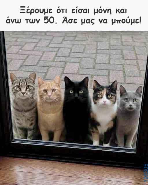 Αστεία εικόνα